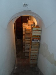 TN_SAM_5006_prodotto finito.JPG